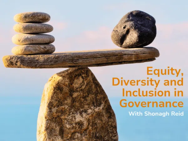 Equity, Diversity and Inclusion in Governance poster featuring balancing rocks